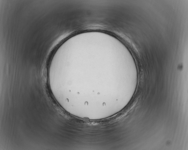 X0000116681317201001111323