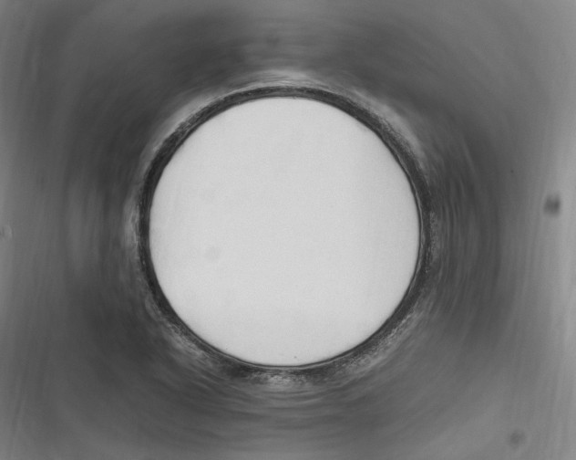 X0000116681318201001111323