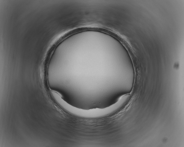 X0000116681319201001111323