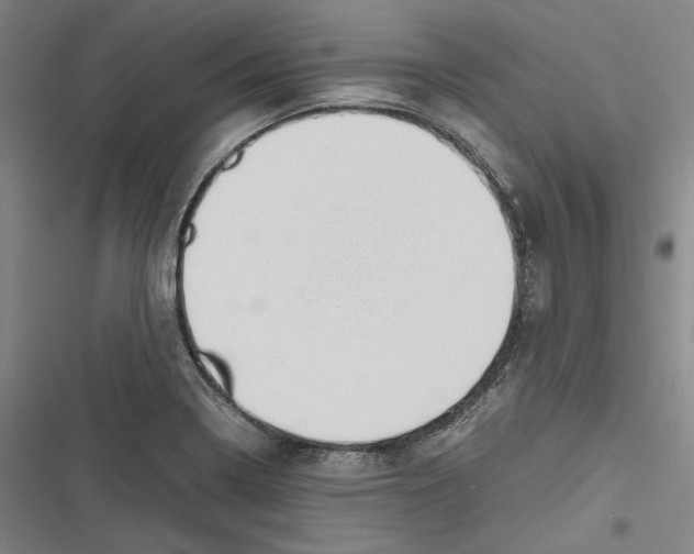 X0000116681322201001111323