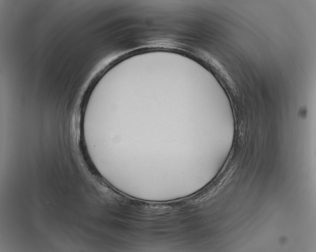 X0000116681323201001111323