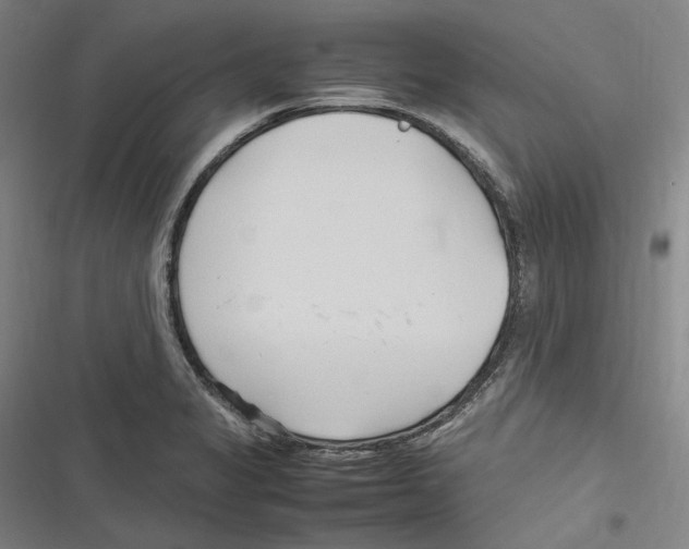 X0000116681325201001111323