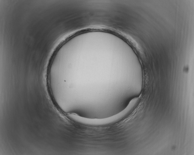 X0000116681327201001111324