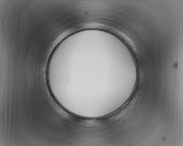 X0000116681330201001111324