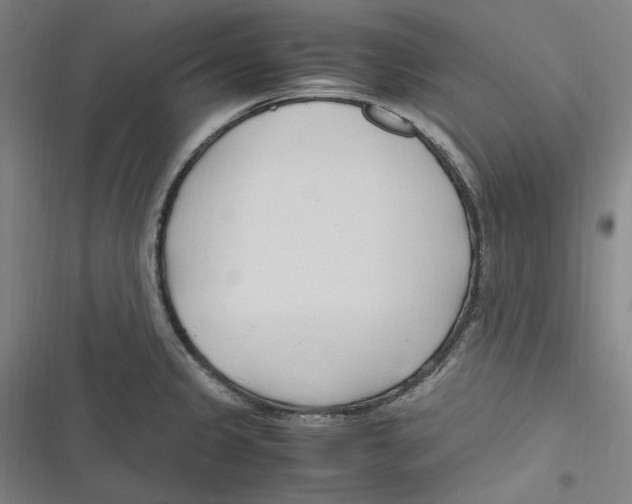 X0000116681333201001111324