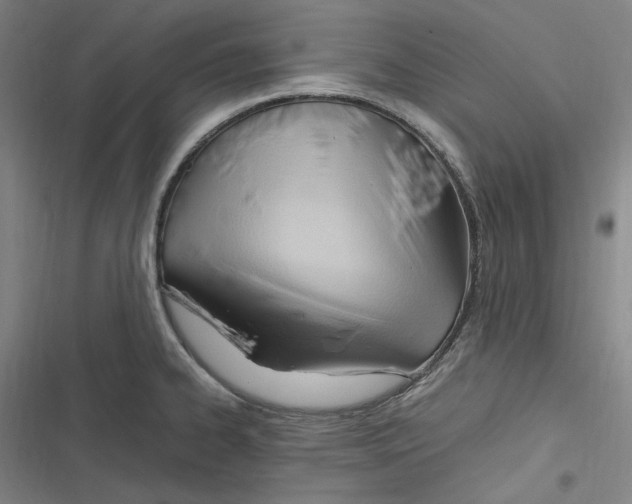 X0000116681334201001111324