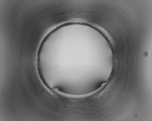 X0000116681335201001111324