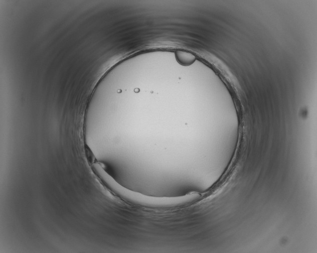 X0000116681337201001111324