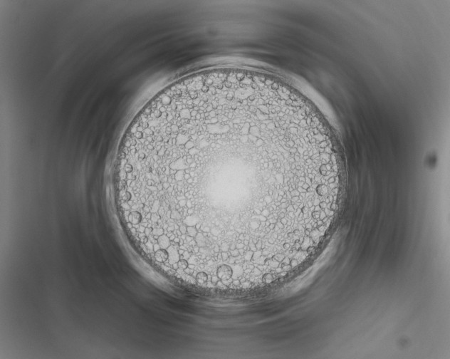 X0000116681338201001111324