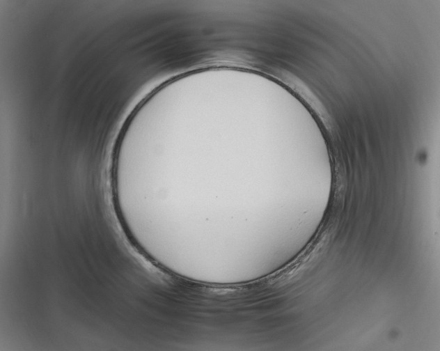 X0000116681339201001111324