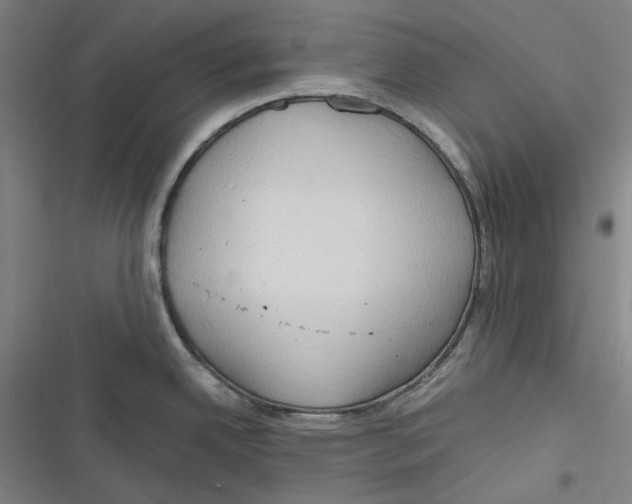 X0000116681342201001111324