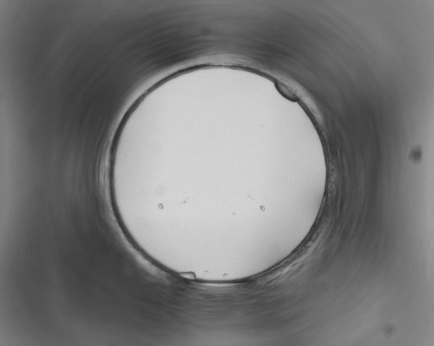 X0000116681343201001111324