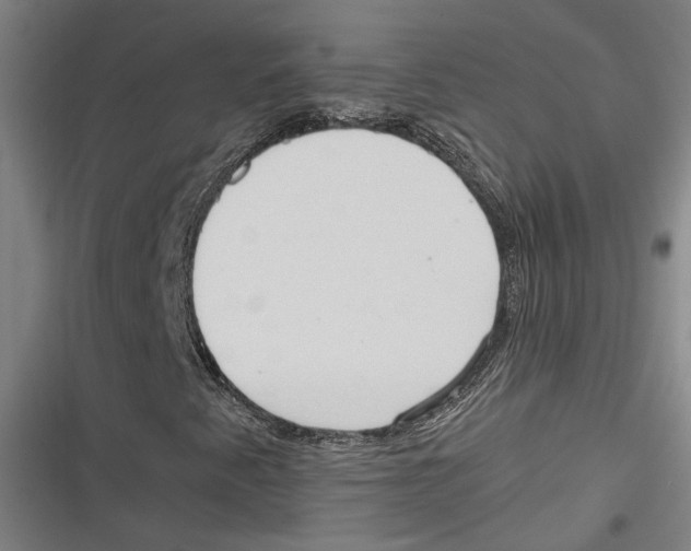 X0000116681345201001111323