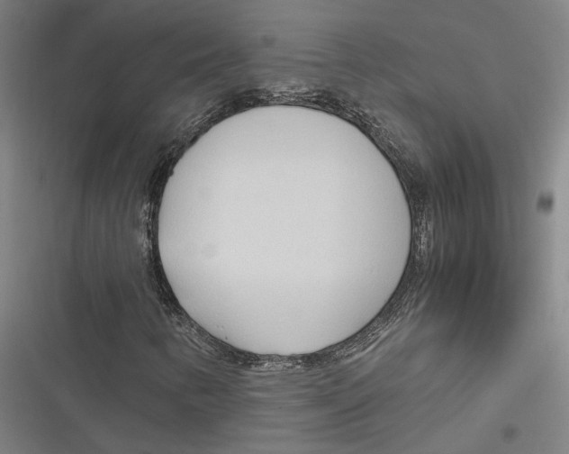 X0000116681346201001111323