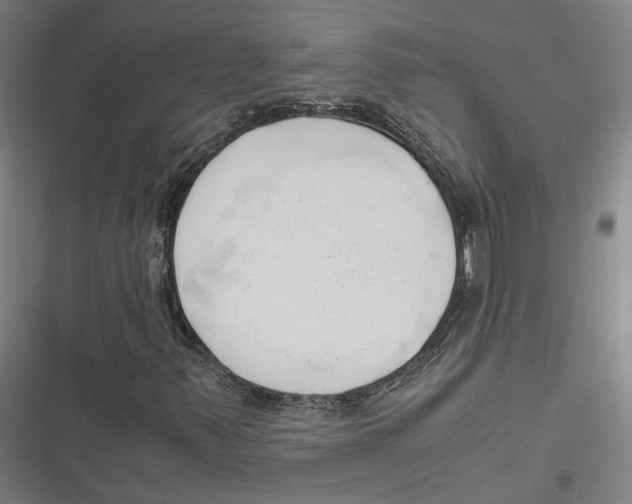 X0000116681347201001111323