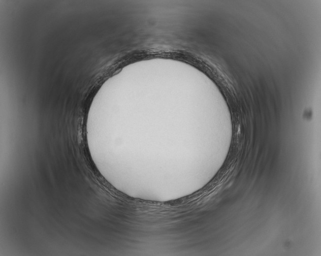 X0000116681348201001111323