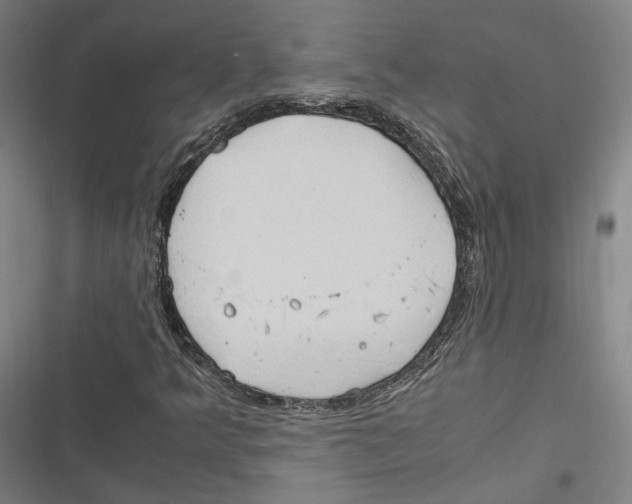 X0000116681349201001111323