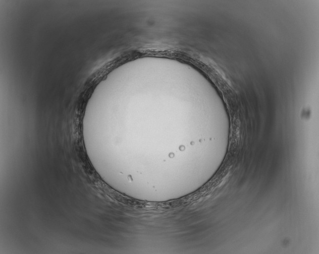 X0000116681350201001111323