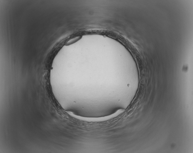 X0000116681351201001111323