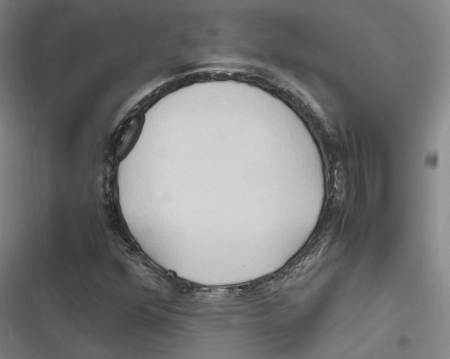 X0000116681352201001111323