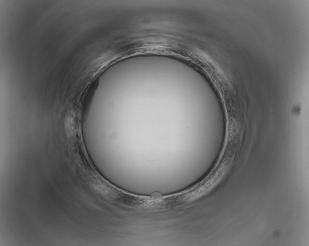 X0000116681353201001111323