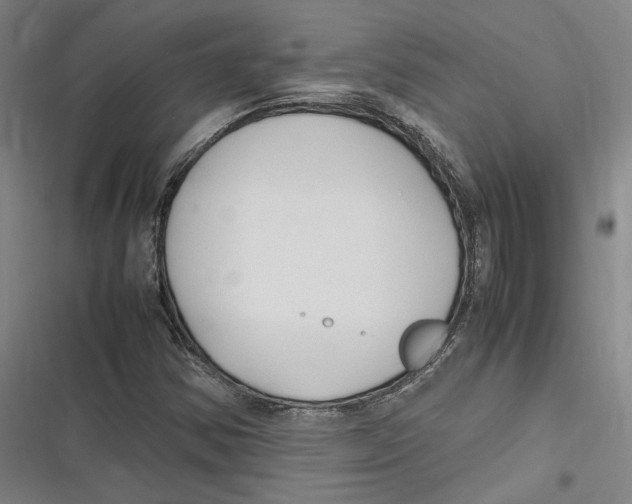 X0000116681354201001111323