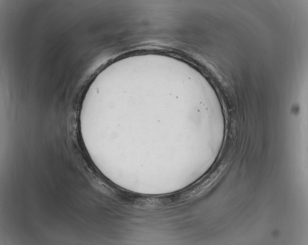 X0000116681355201001111323