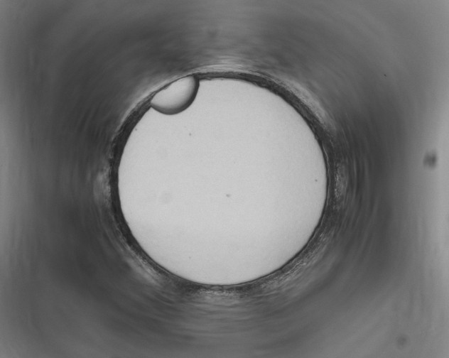 X0000116681356201001111323