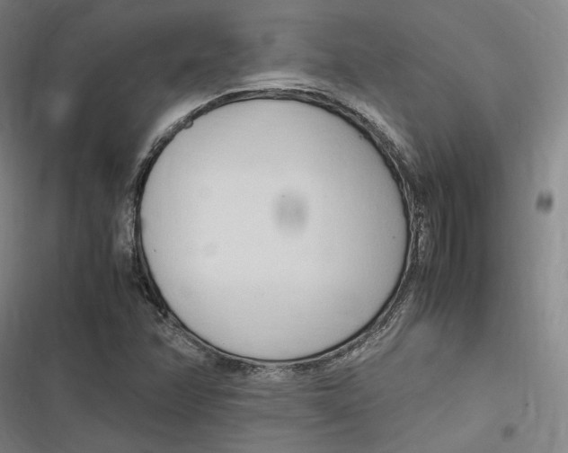 X0000116681358201001111323