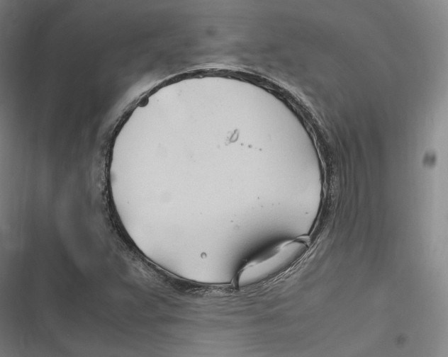 X0000116681359201001111323