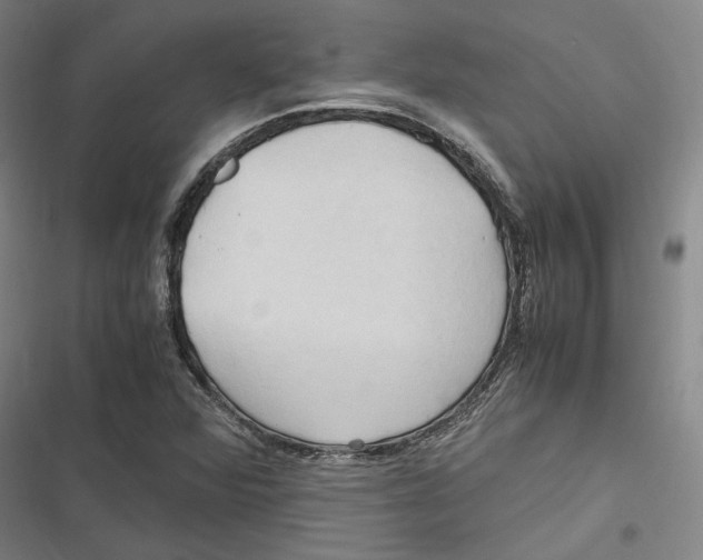 X0000116681360201001111323