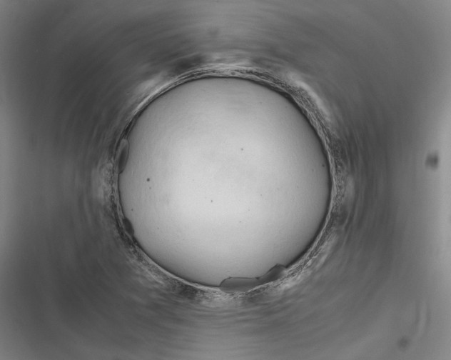 X0000116681361201001111323