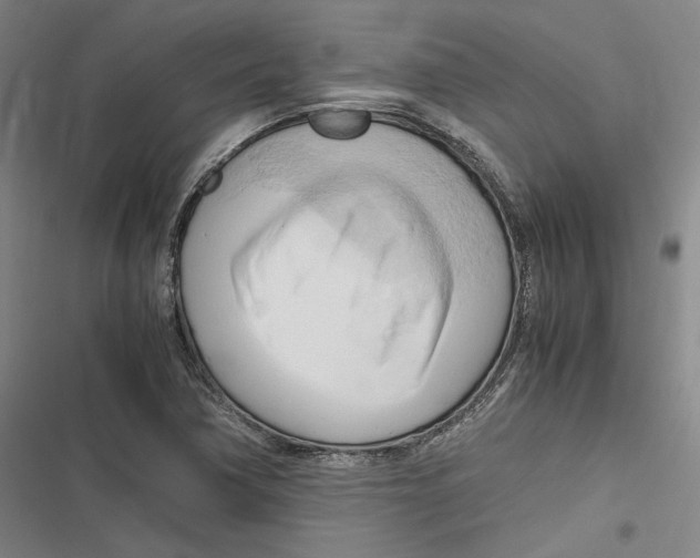 X0000116681362201001111323