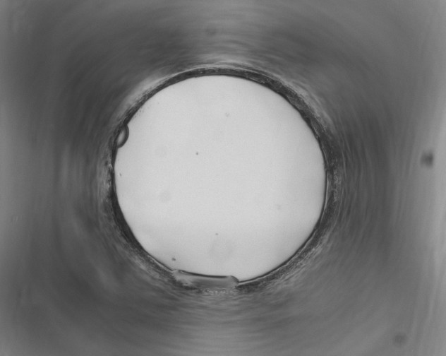 X0000116681363201001111323