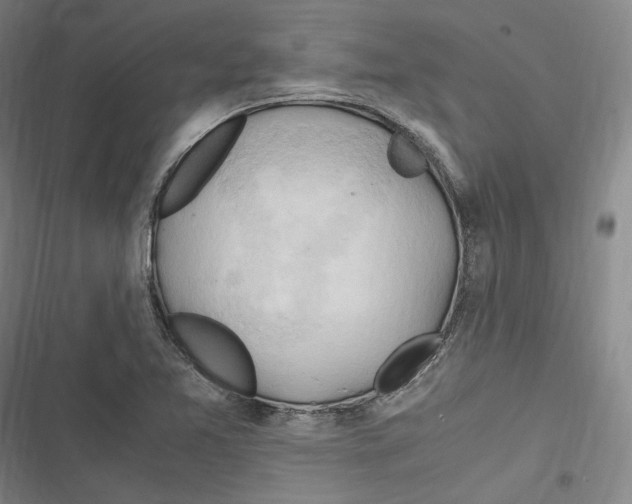 X0000116681365201001111323