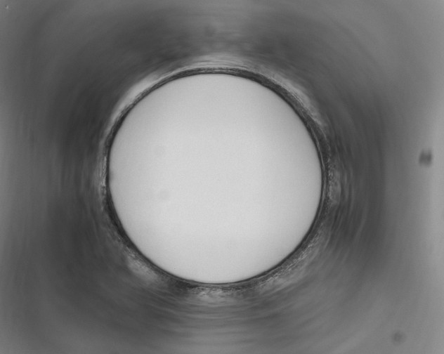 X0000116681366201001111323