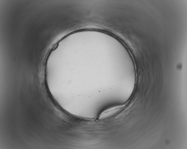 X0000116681367201001111323