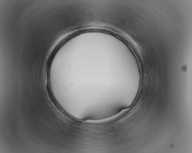 X0000116681368201001111323