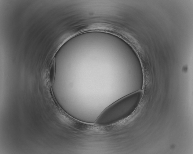 X0000116681369201001111323