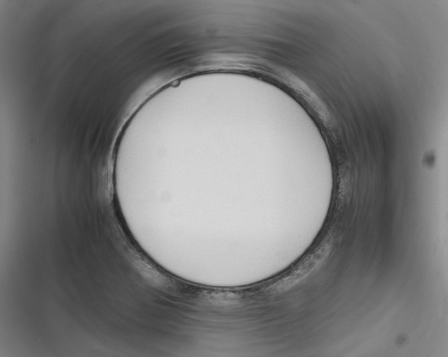 X0000116681370201001111323