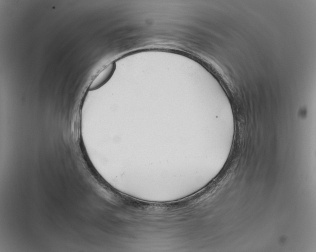 X0000116681371201001111323