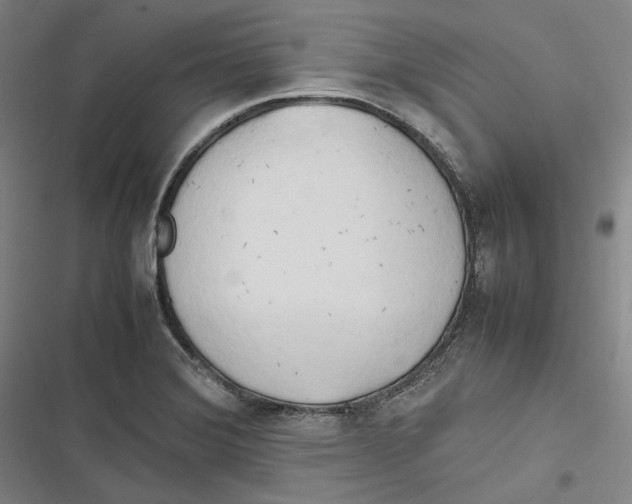 X0000116681372201001111323