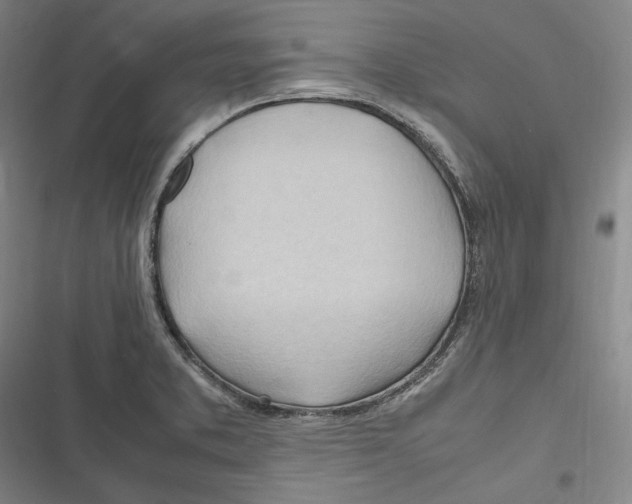 X0000116681373201001111323