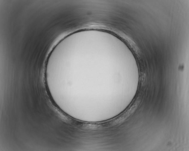 X0000116681374201001111323