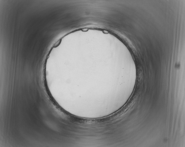 X0000116681375201001111323