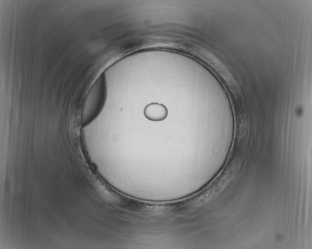 X0000116681377201001111323