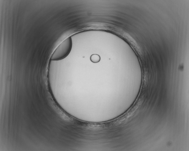 X0000116681378201001111323