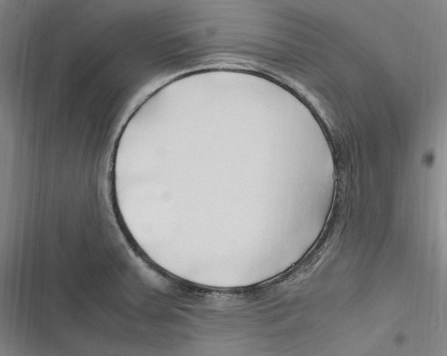 X0000116681379201001111323