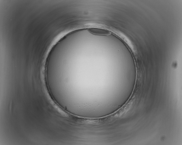 X0000116681381201001111323