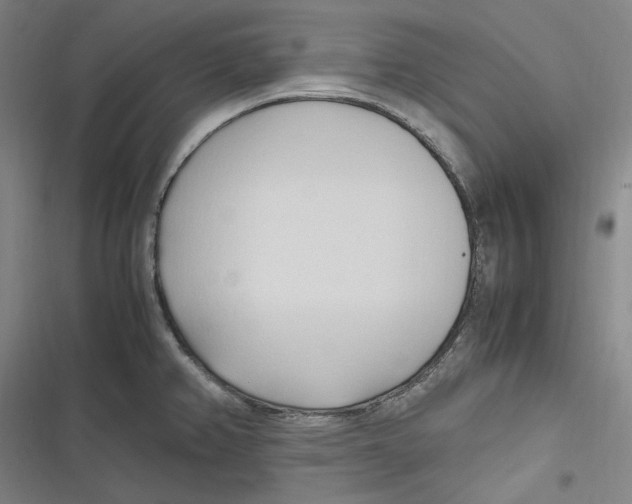 X0000116681382201001111323